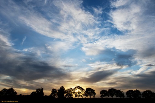 De zon breekt door de bomen.