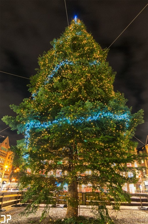 Kerstboom op de Dam